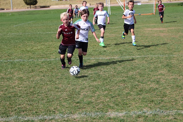 澳超半场：维迪奇补时扳平，奥克兰FC暂1-1布里斯班狮吼