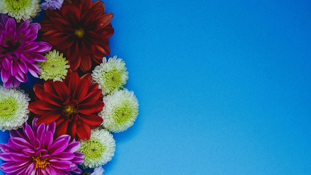 阮奇龙庆祝冲超：美好的一个赛季，一起期待2026新的挑战