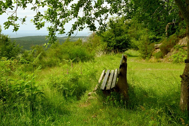 基德谈最后一攻：克莱那个三分是我们想要的机会，我为此负责